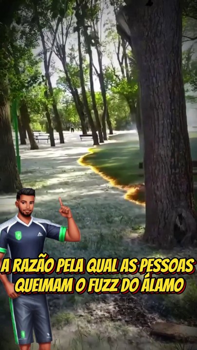 O Perigo Escondido no Quintal: Por Que Queimar o Fuzz do Álamo Pode Ser Tão Arriscado?