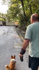 ¿Qué hacer si te topas con un oso? Dice Marcial Herrera