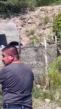 Bajan osos al área metropolitana, los ven en Santa Catarina y Apodaca