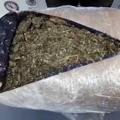 Catea FGR inmueble en Apodaca, aseguran drogas y un arma de fuego