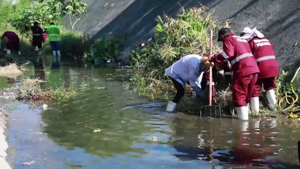 Realizan limpieza de alcantarillas y pluviales en Escobedo
