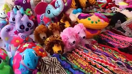 Encabeza Francisco Treviño Día Internacional de Pueblos Indígenas