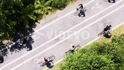Bicycles with bicyclists moving on a bicycle road