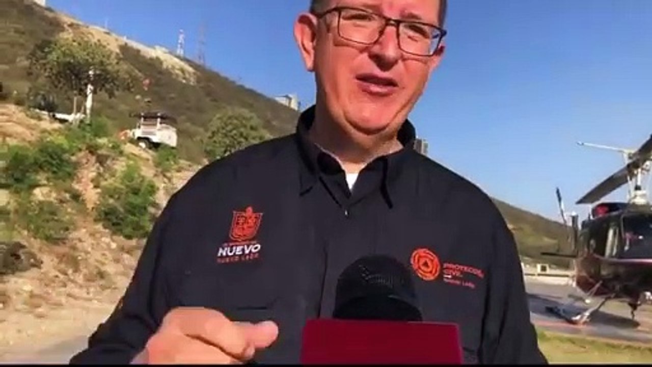 ¡Temporada de osos! Van siete avistamientos en la Metrópoli