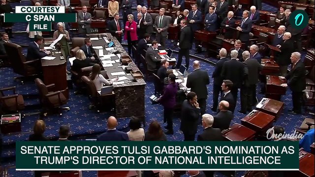 Senate Confirms Tulsi Gabbard As Trumps Director Of National Intelligence Despite Partisan Divide
