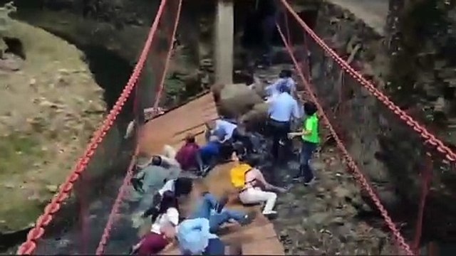 VIDEO: Se desploma puente colgante en Cuernavaca