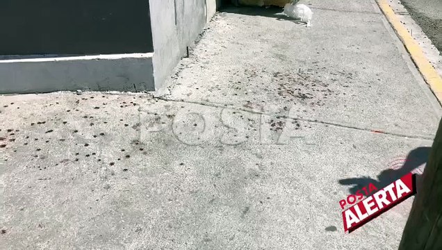 Centroamericanos pelean a machetazos en calles de Monterrey