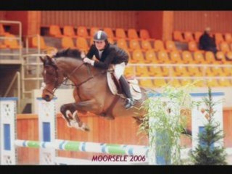 Les chevaux que g monté