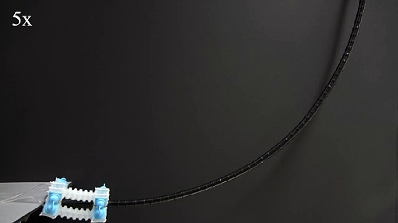 Pełzający robot Seoul National University