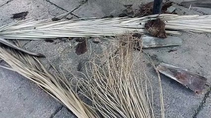 Fuertes vientos ponen en riesgo a paseantes en Morelos