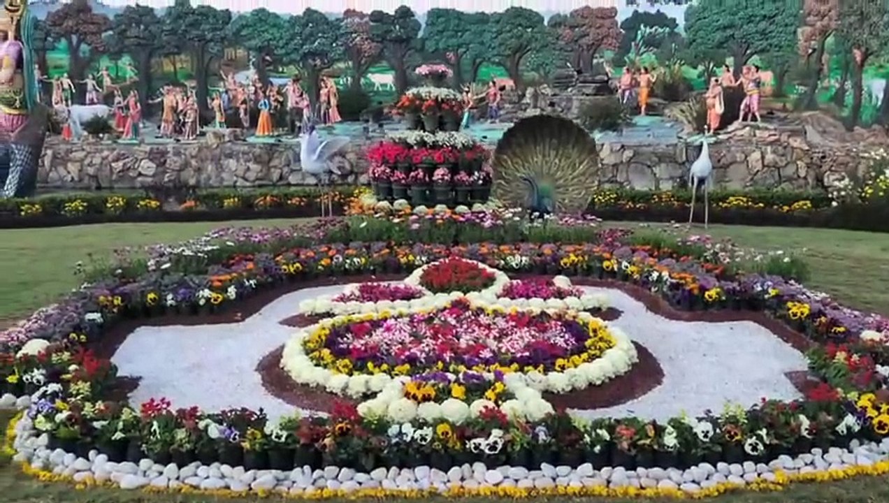 FB_VID_8107739464869844356
