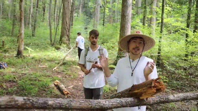 Surviving 24 Hour's Straight In A Rain🌧️Forest | Mr Beast |