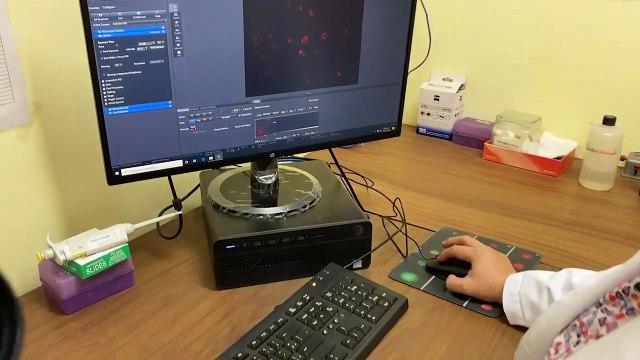 Dan mujeres fuerza a investigaciones en IMSS Nuevo León