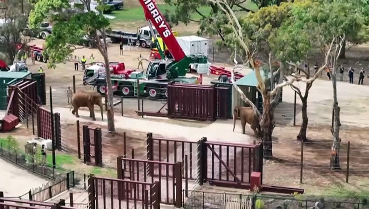 Herd of Asian elephants relocated to Werribee Open Range Zoo