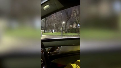 Dad and daughter spot a mysterious animal - on a London roundabout