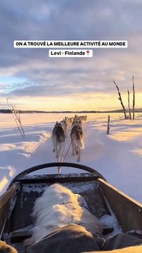 Une balade en chiens de traîneaux à Levi, Laponie 🇫🇮❄️