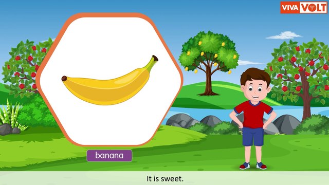 Fruits for Kids | Learning About Fruits