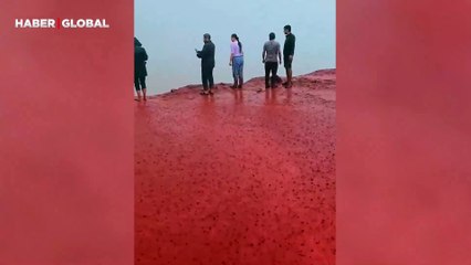 İran'ın Hürmüz Adası'ndaki Kızıl Plaj'da yoğun yağışın ortaya çıkardığı manzara şaşırttı