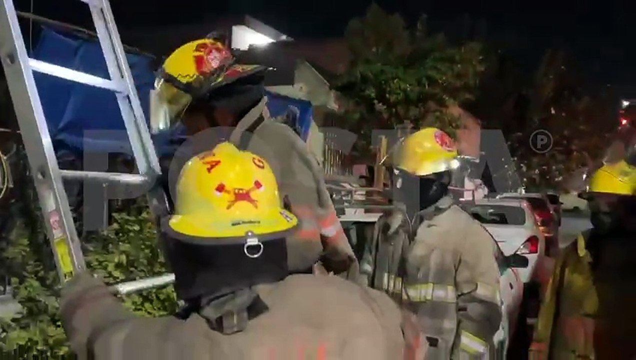 Salvan bomberos de Guadalupe a “Coco”, gato atrapado en lo alto de un poste