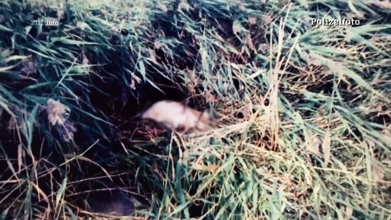 Ermittler!-Eine Frage desGeldes