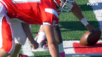 ¡Todo para el Super Bowl! Hay escasez de aguacate e incrementa su precio