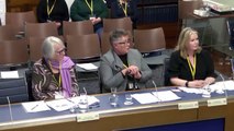 Sinn Fein and Alliance criticise women’s group asking for single sex spaces