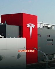 Why is Tesla Expanding to China