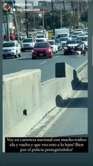 Protege Tránsito de Monterrey a lomitos perdidos en carretera Nacional