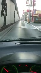 VIDEO: Atropellan a un venado en Monterrey