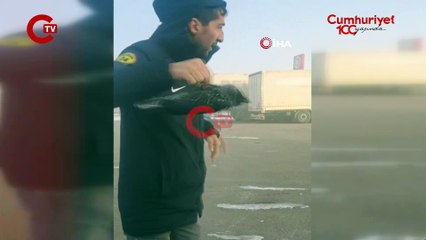 Erzurum'da sıcaklık eksi 30'a düştü... Karga, soğuktan donarak öldü