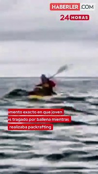 Şili'de kambur balina, genci botla beraber yuttu sonra geri tükürdü