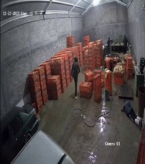 Violencia en Toluca: Familiares exigen encontrar a polleros secuestrados (VIDEO)