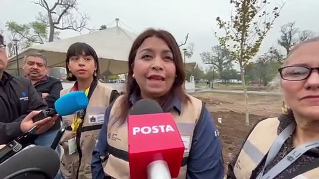 Retirará Monterrey más de 200 árboles de la Alameda