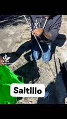Encuentran brujería en panteón de Saltillo