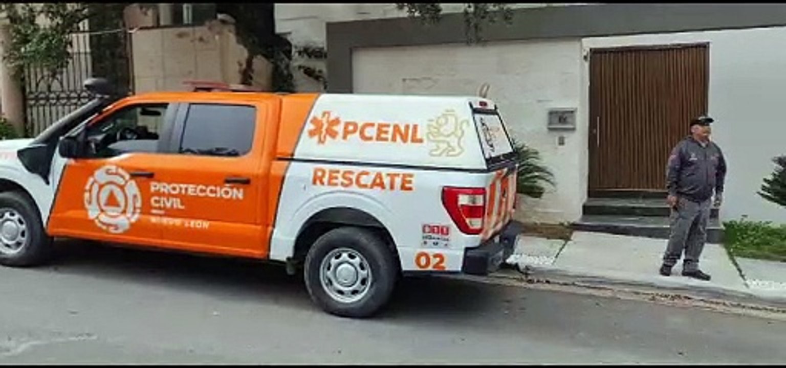 Alertan por avistamiento de tres osos en Valle Alto en Monterrey. (VIDEO)