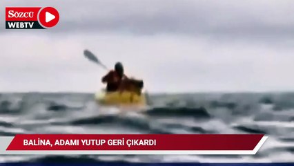 Balina adamı yutup geri çıkardı!