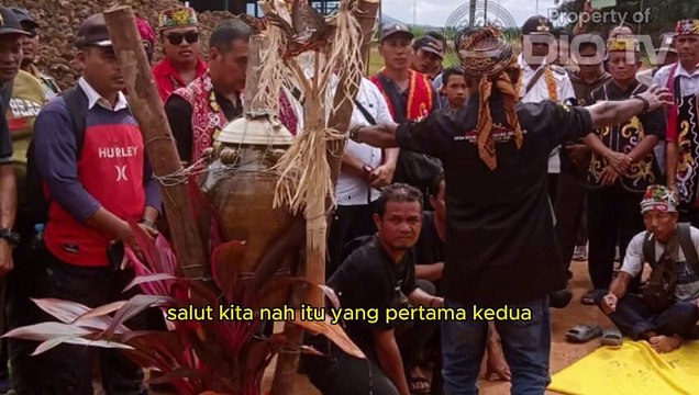 Stephanus Paiman, Ketua Forum Relawan Kemanusiaan Pontianak mengaku malu sebagai orang Dayak ada oknum DAD Provinsi Kalimantan Barat tidak beradat dihukum adat 2 kali, dan terancam dikenakan ritual pancong buluh muda, pilihan: hidup atau mati!