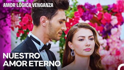 Es Como Si Nos Casáramos De Nuevo - Amor Lógica Venganza