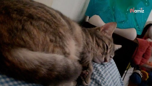 Une femme entend des pleurs sous un balcon : elle est loin de se douter que cela va bouleverser sa vie