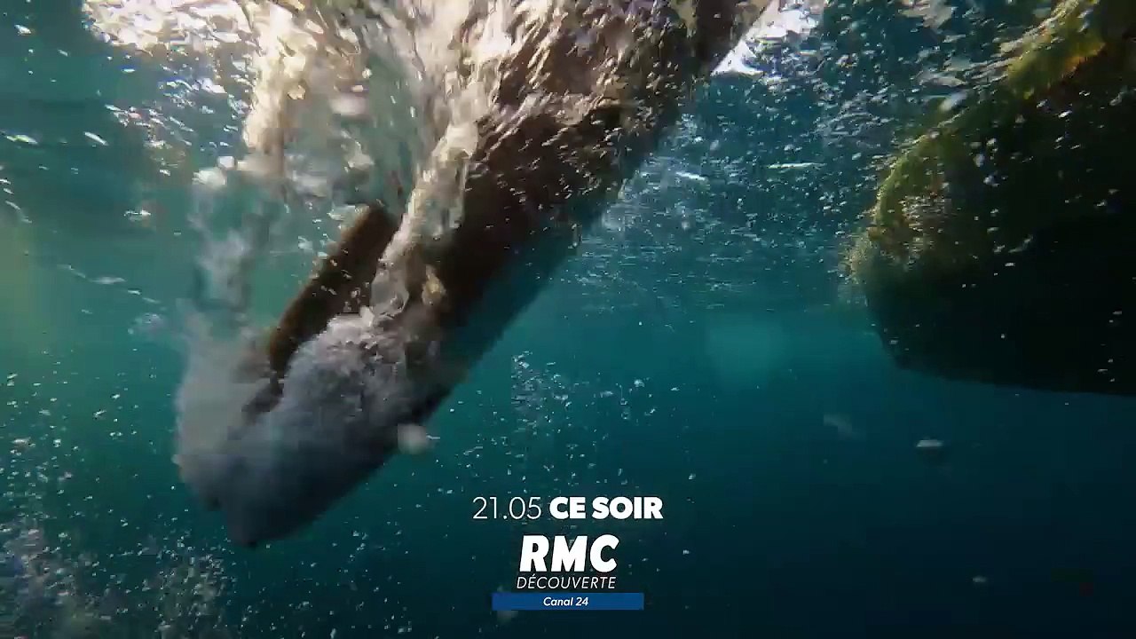 Pêche XXL