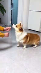 No magic outside of Hogwarts.