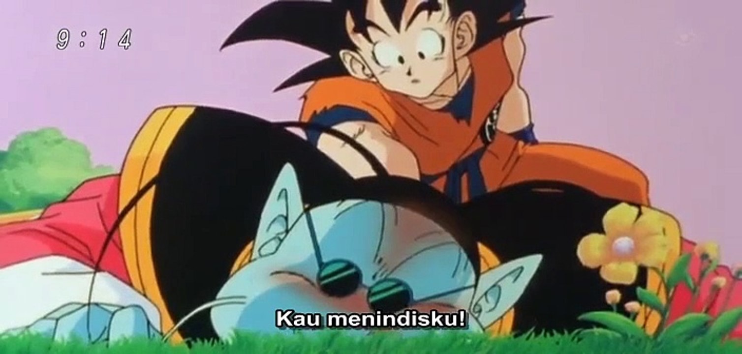 Dragon Ball 008