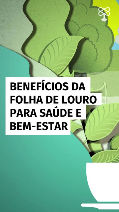 Benefícios da folha de louro para saúde e bem-estar