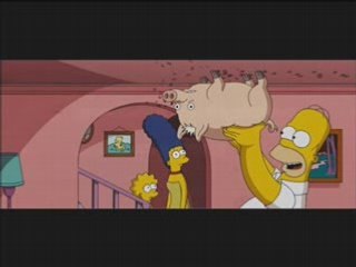 homer qui chante spider cochon