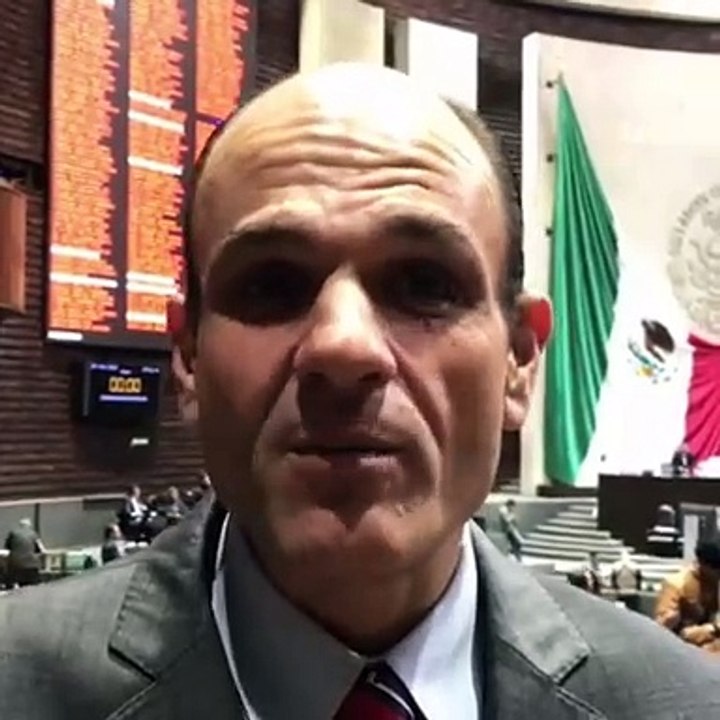 Legisladores federales dan la bienvenida a POSTA a la Cámara de Diputados