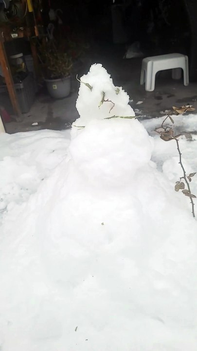 Snowman 2025