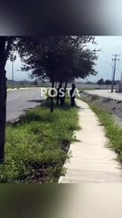 Matan a hombre en baldío de García