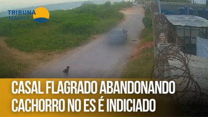Casal flagrado abandonando cachorro no ES é indiciado