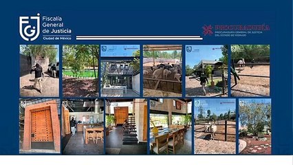 VIDEO: Ex secretario prófugo, Fiscalía catea lujoso terrenito en Hidalgo