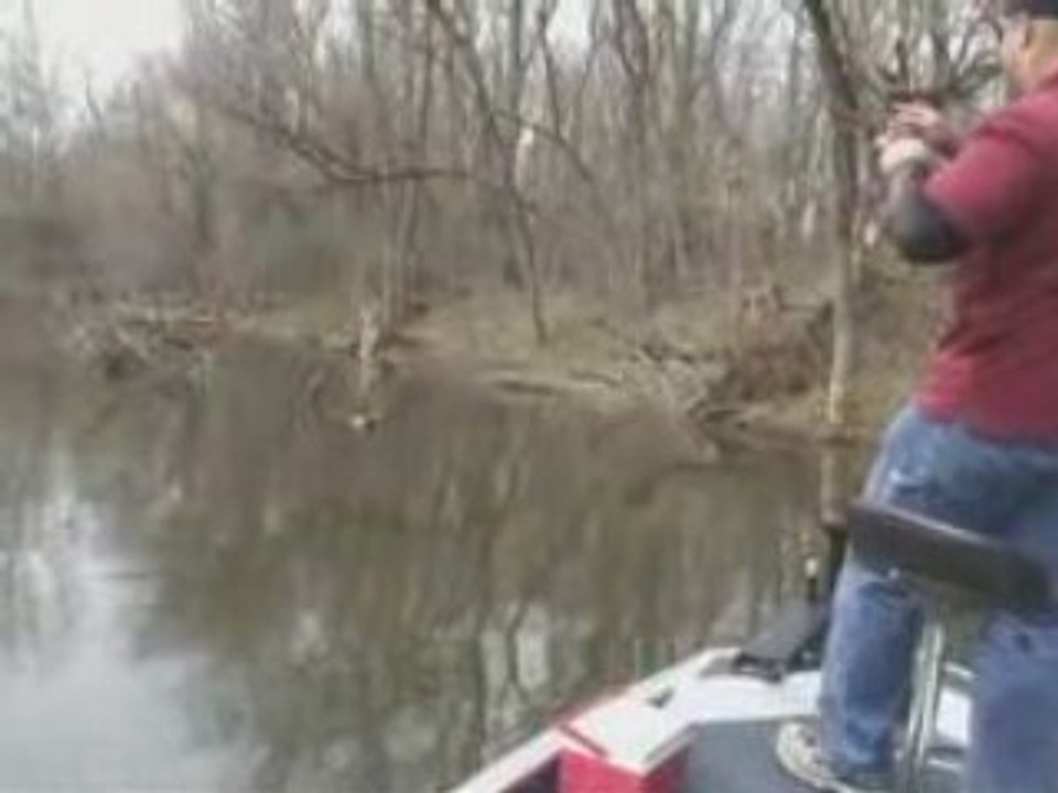 Bustn' Big Crappie